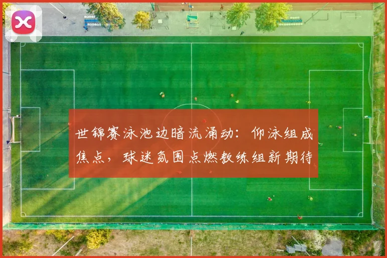 世锦赛泳池边暗流涌动：仰泳组成焦点，球迷氛围点燃教练组新期待