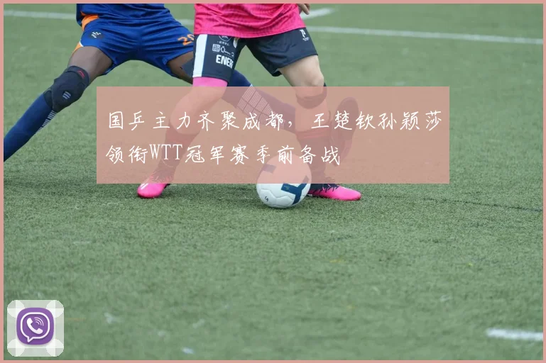 国乒主力齐聚成都，王楚钦孙颖莎领衔WTT冠军赛季前备战