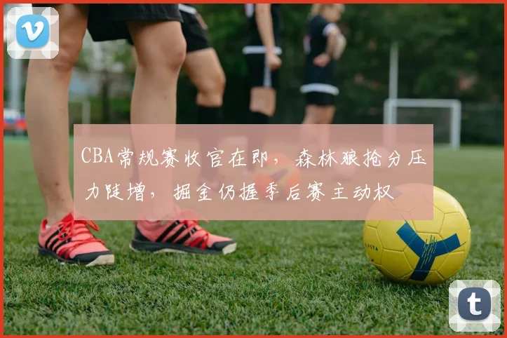 CBA常规赛收官在即，森林狼抢分压力陡增，掘金仍握季后赛主动权